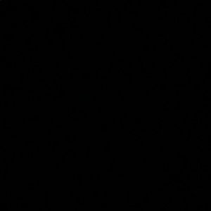 Meet your Posher, Mayra